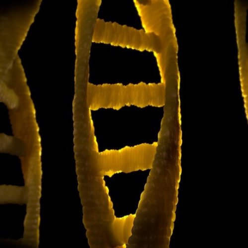 Тест по биологии: Генетика как отрасль биологической науки (Пасечник, 9 класс)