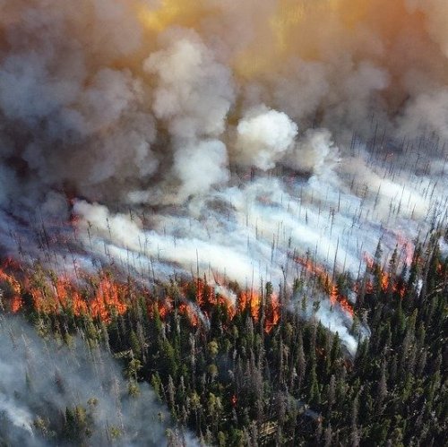 Тест по ОБЖ: Профилактика лесных и торфяных пожаров, защита населения (Смирнов, Хренников 7 класс)