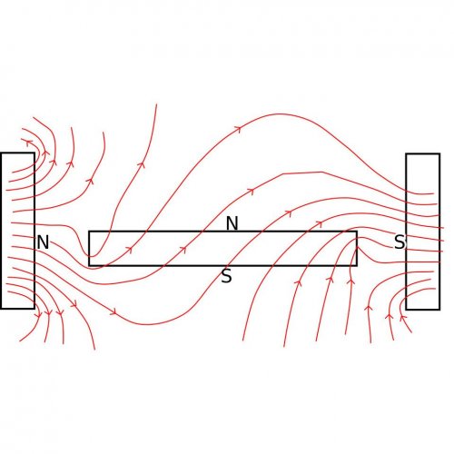 Тест по физике: Магнитное поле прямого тока. Магнитные линии (Перышкин, 8 класс)