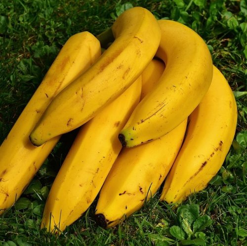 Как называются овощные сорта бананов, которые перед употреблением требуют термической обработки?