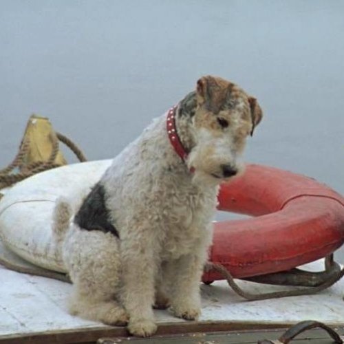 Советский фильм «Трое в лодке, не считая собаки», 1 серия (1979)