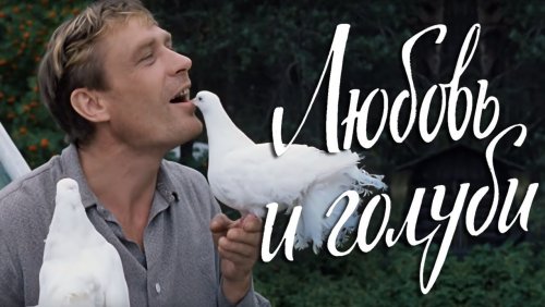 Советский фильм «Любовь и голуби» (1984)